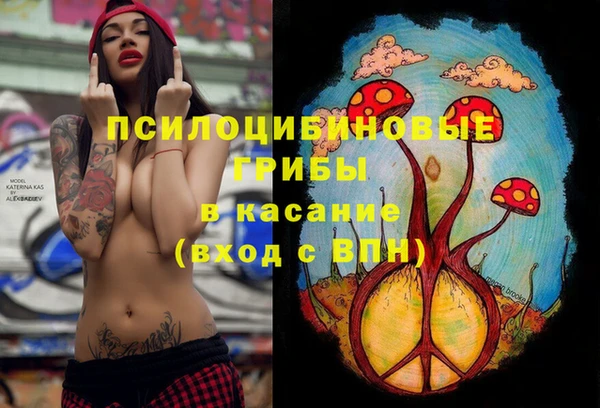 метадон Богданович