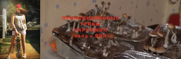 каннабис Богородицк