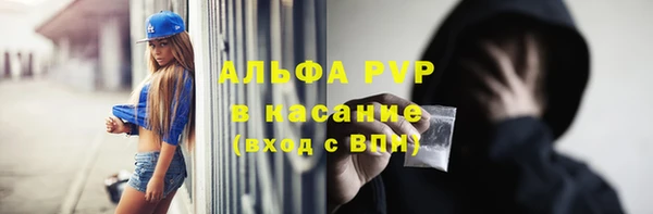 твердый Снежногорск