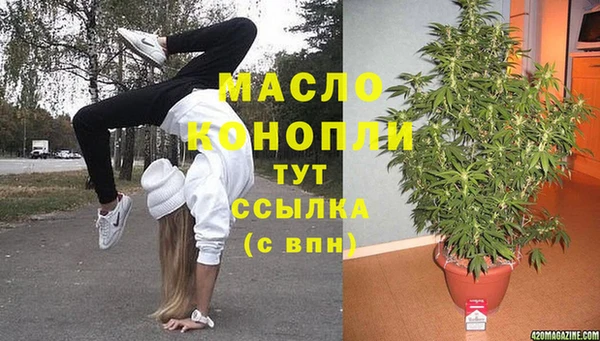 метадон Богданович
