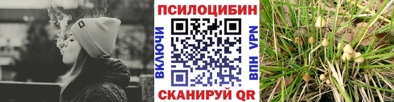 Псилоцибиновые грибы Magic Shrooms  Котельники 